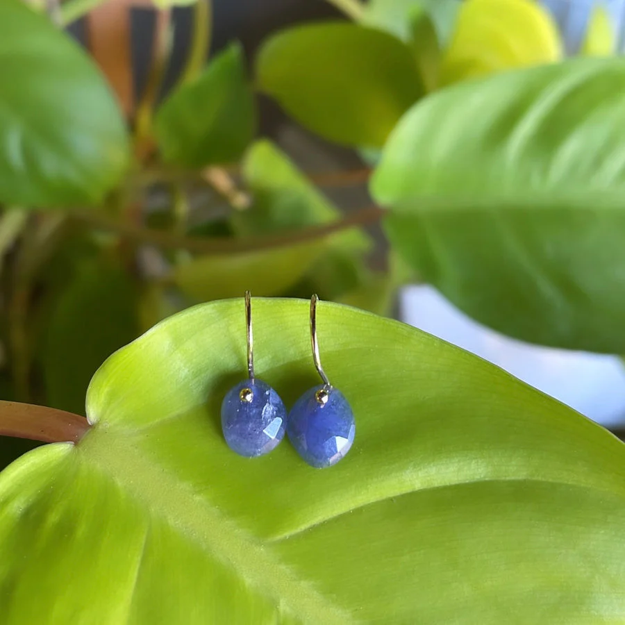 Petite Tanzanite Gold Filled Earring - Mitchell's Manufacturing Jewel