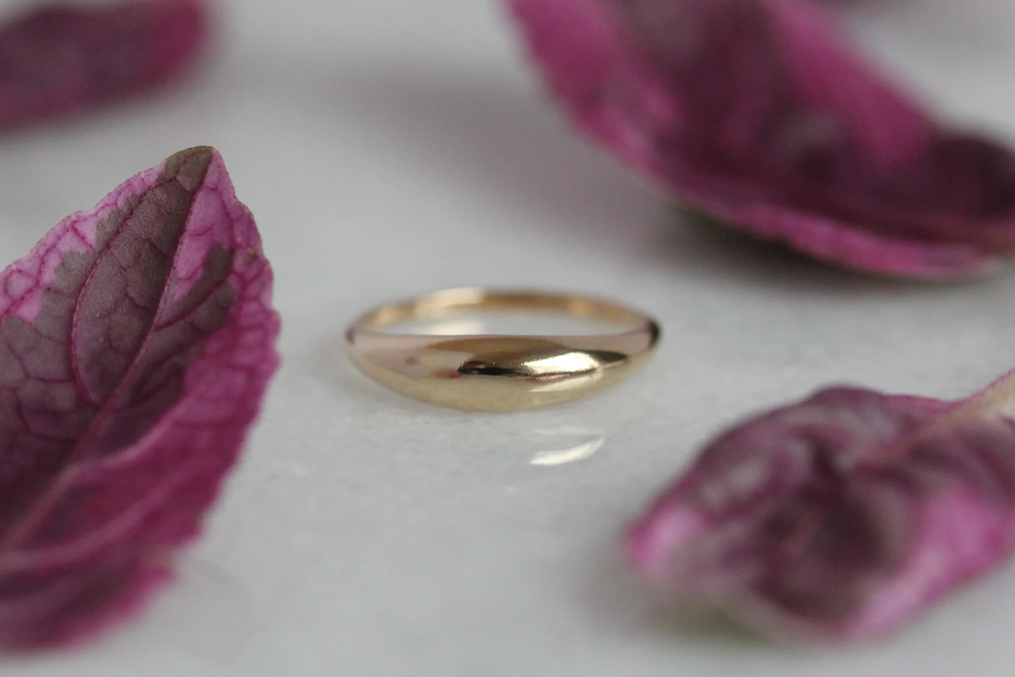 The Stardust Arch: A 14k Gold Hand-Carved Dome Ring - Mitchell's Manufacturing Jewel